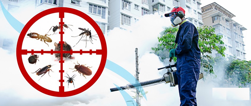  Fumigation Services