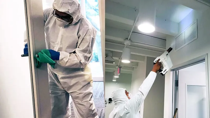 Disinfection & Sanitization